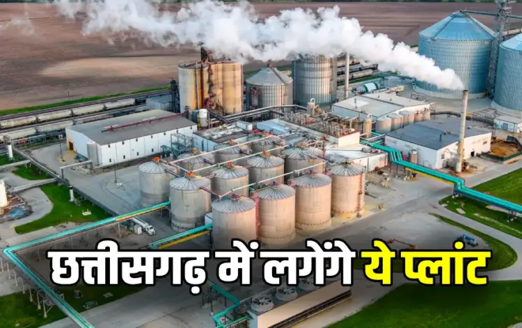 Chhattishgarh Bemetar Plants