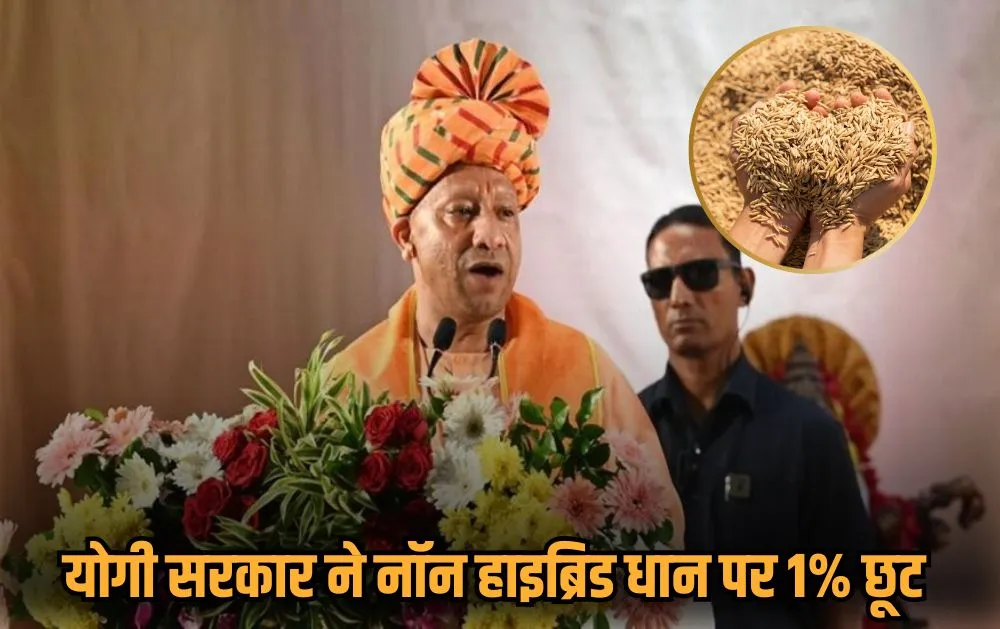 CM Yogi: योगी देंगे माफिया मुख्तार से खाली कराई गई जमीन पर बने 72 EWS फ्लैट्स की चाबी CM Yogi: योगी देंगे माफिया मुख्तार से खाली कराई गई जमीन पर बने 72 EWS फ्लैट्स की चाबी