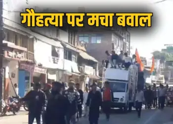 Cow Slaughter Damoh News
