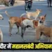 Dogs Mahanasbandi Indore Nagar Nigam 6 months project