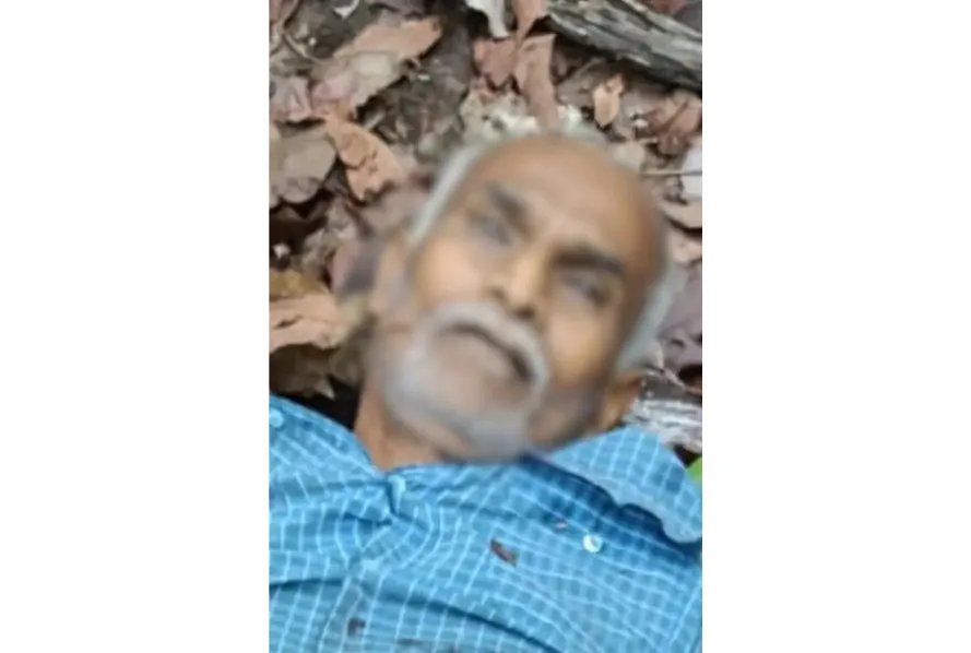 CG Bijapur Naxal Operation Encounter
