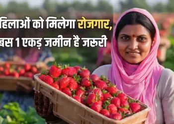 Ek Bagiya Maa Ke Naam