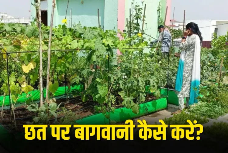 Gardening Tips