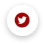 twitter-logo