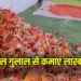 Holi 2025 Herbal Gulal