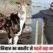 IAS Niyaz Khan