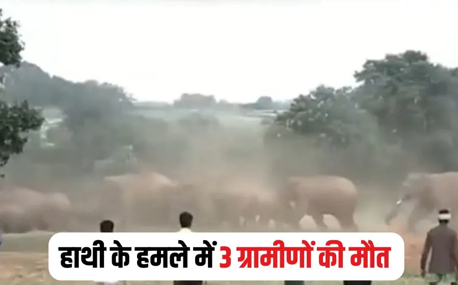 Shahdol News