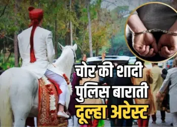 MP Wedding Thieves