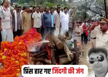 MP News