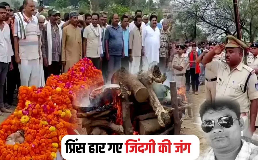 MP News