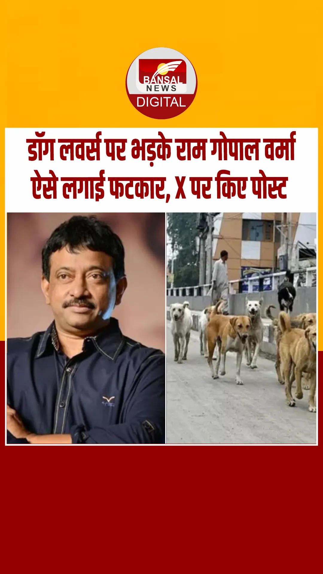 डायरेक्टर राम गोपाल वर्मा ने आवारा कुत्तों के सपोर्ट में आए लोगों को जमकर खरी-खोटी सुनाई, सोशल मीडिया पर किए कई पोस्ट