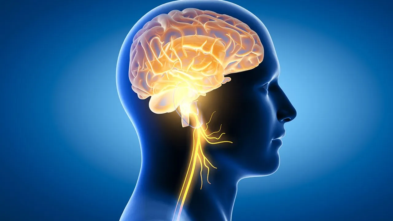 Black Salt Side Effects on Brain