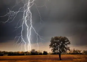 CG Monsoon Update