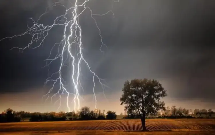 CG Monsoon Update