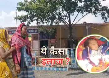 MP News
