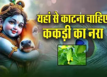 Janamashtami-2025-Kheera-katne-ke-Niyam