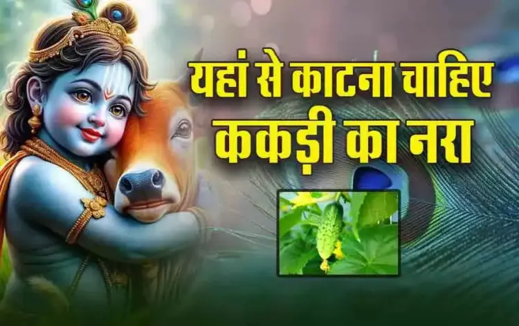 Janamashtami-2025-Kheera-katne-ke-Niyam