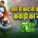 Janamashtami-2025-Kheera-katne-ke-Niyam