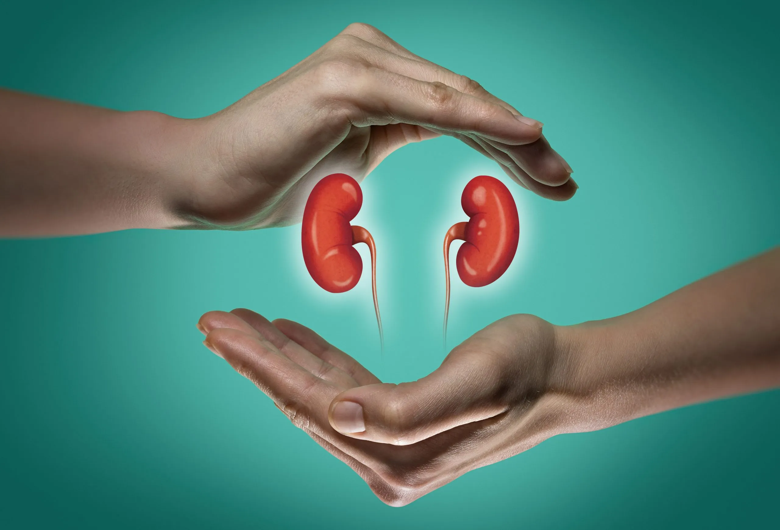 Kidney Transplant