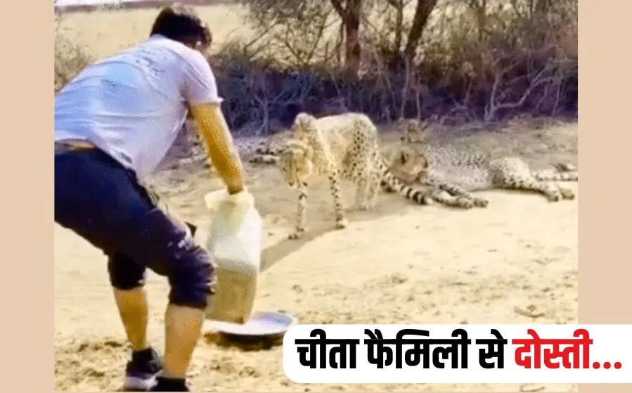 Kuno Tiger Reserve Video
