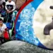 CG Water Supply Disrupted/Interruption Notice Today