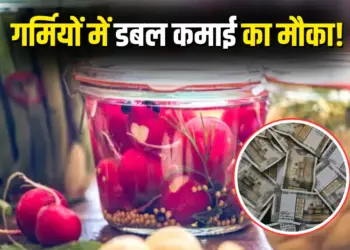 Low Cost/Investment High Profit Business Idea