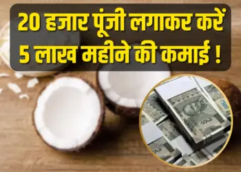 Coconut Business Idea