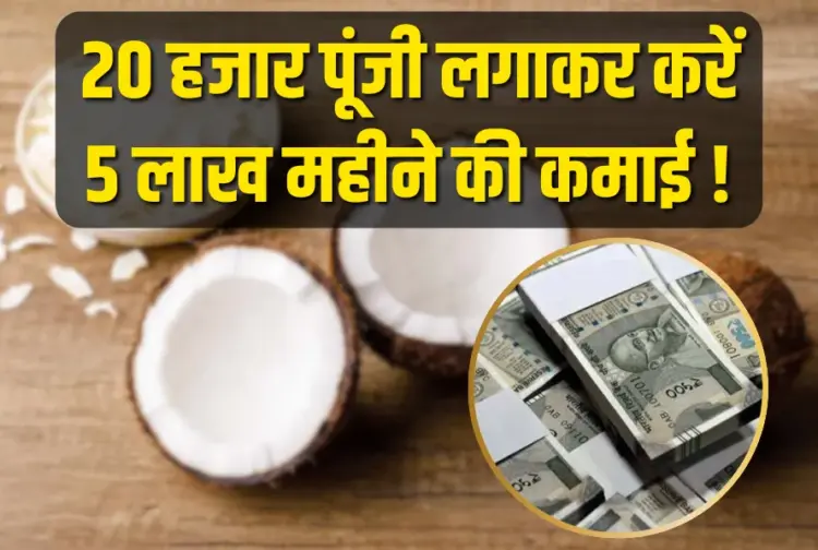 Coconut Business Idea