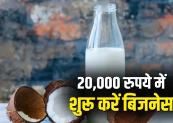 Low Investment High Profit Nariyal Business Idea