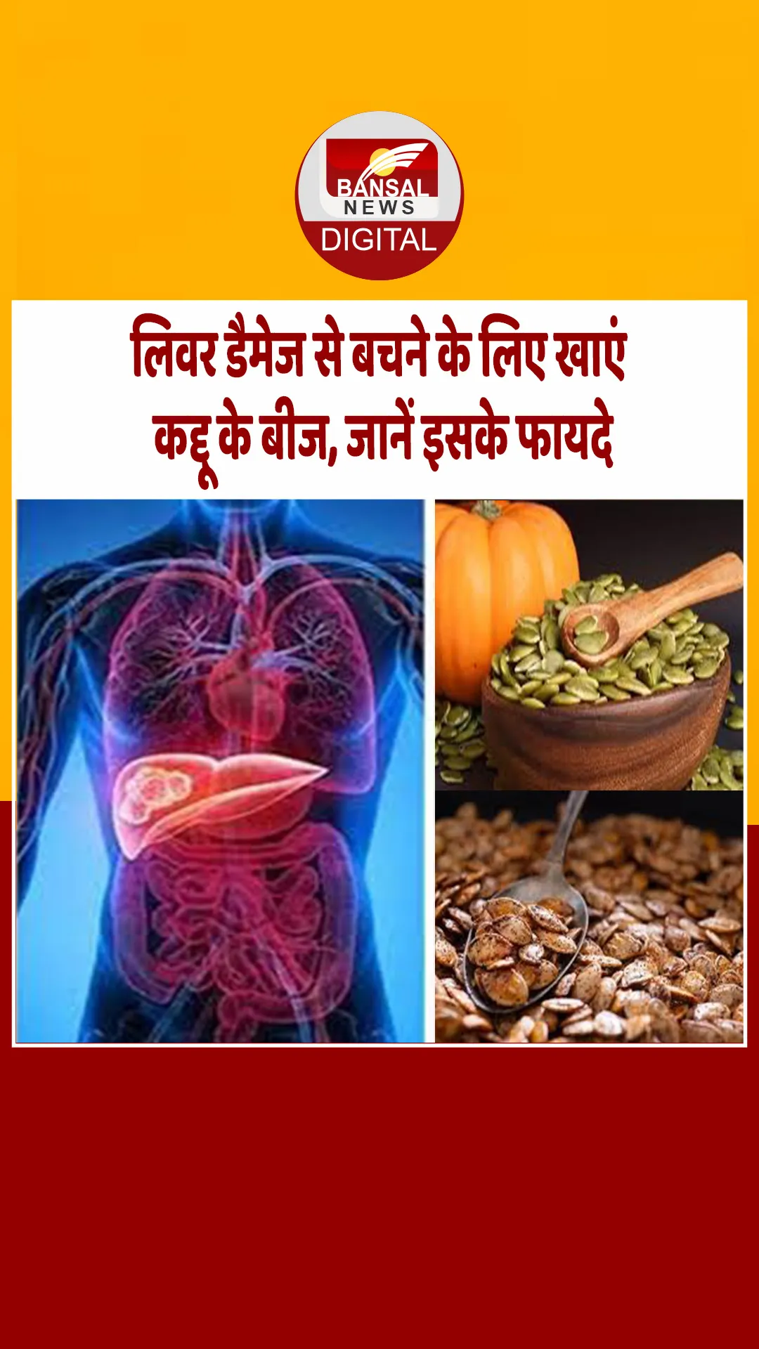 Pumpkin Seeds: कद्दू के बीज में छिपा है सेहत का ‘खजाना’, इन समस्याओं से रहेंगे कोसों दूर