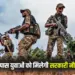 MP 5th Pass Jobs 2025