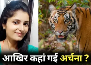 MP Archana Tiwari Missing Case Searching in Midghat forests tiger attack hindi news