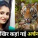 MP Archana Tiwari Missing Case Searching in Midghat forests tiger attack hindi news