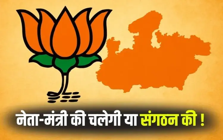 MP BJP