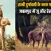 MP CM Mohan Yadav announced establishment Rani Durgavati Rescue Center Jabalpur zxc