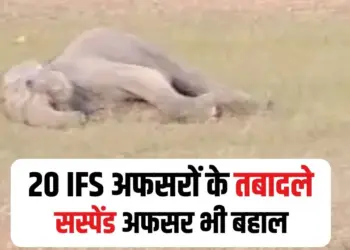 MP IFS Officer Transfer