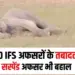MP IFS Officer Transfer