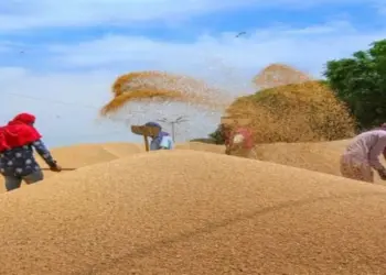MP MSP wheat purchase