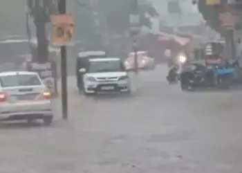 MP Monsoon Nimar Entry 2025