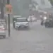 MP Monsoon Nimar Entry 2025