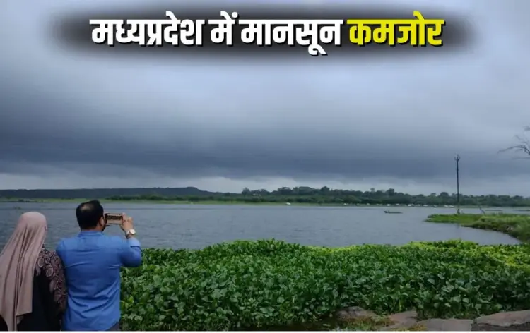 MP Monsoon Update