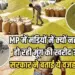MP Mung Kharidi 2025