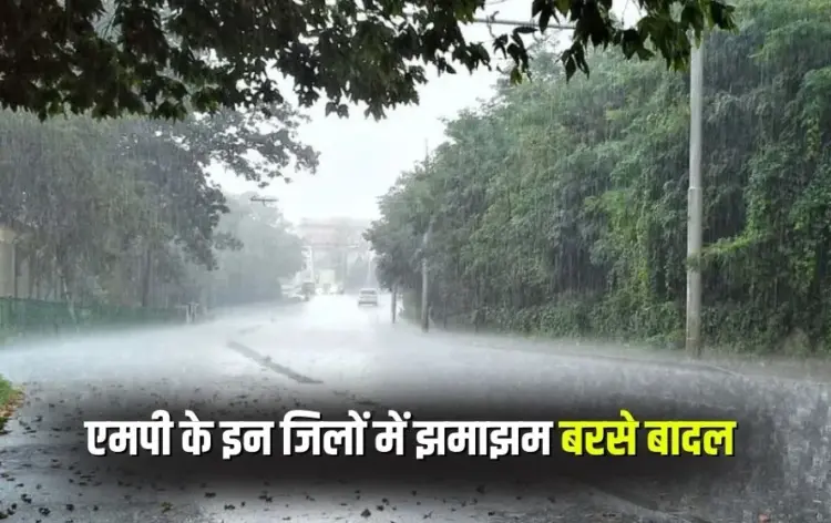 MP Rain Alert