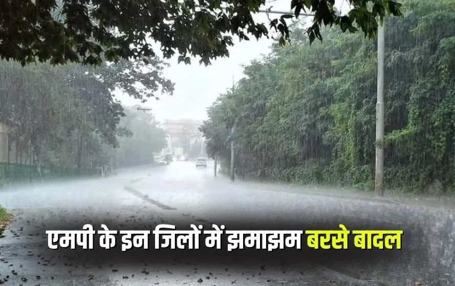 MP Rain Alert