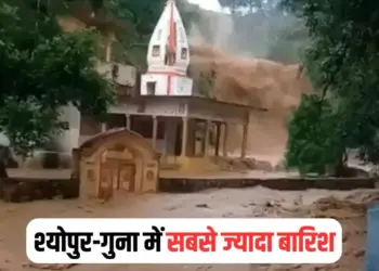 MP Rainfall Alert