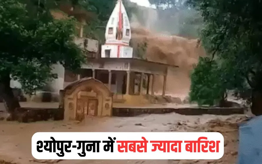 MP Rainfall Alert