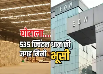 MP Rice Scam