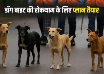 MP Stray Dog Action