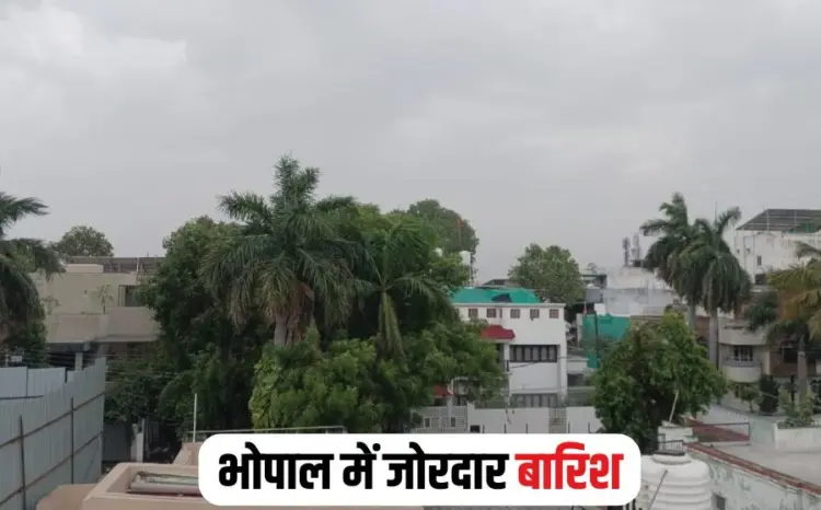 MP Weather Alert
