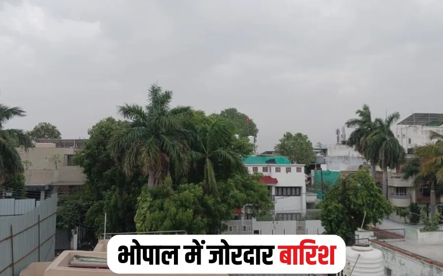 MP Weather Alert